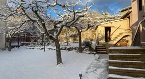 Cal Carol - Image 5
