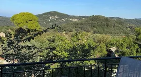 Sofia's Bella Vista Pagoi - Image 5
