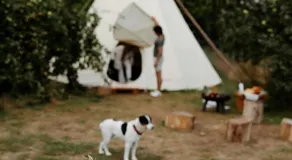 White House on Wye Glamping - Image 4