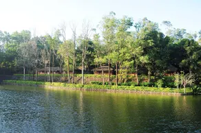 Saj Vagamon Hideout - Image 5