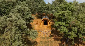 CORK VALLEY - Pet Friendly & Only Adults - Image 5