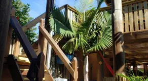Guarda Encantada Surf Hostel - Image 5