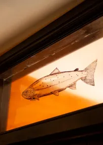 The Leaping Salmon - Image 5