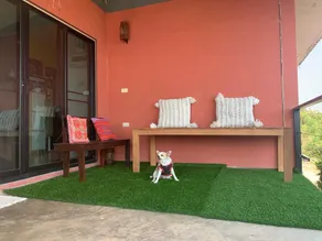 Sun & Moon Home (Pet-friendly) - Image 5
