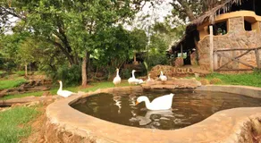 Naiberi River Campsite & Resort - Image 5