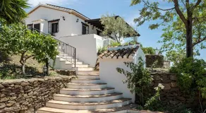 Finca Mojito - Image 3