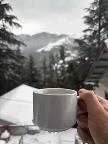 Hotel Binny Dalhousie - Image 5