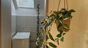 Ferienwohnung Kunterbunt - Image 5