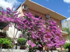 Apartments Katica - Image 5