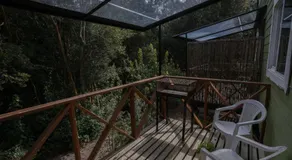 Cabañas Ensenada Bosque Nativo - Image 5