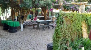 Casa Verde - Image 5