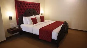 The Hotel Raja Palace - Image 2