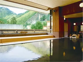Sasaya Hotel - Image 2
