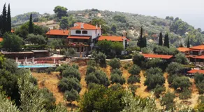 Vateri - Image 4
