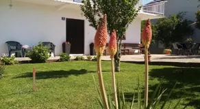 Janja Medjugorje - Image 4