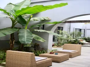 Nanshan Bieyuan Guesthouse - Image 3