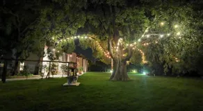 Botanica Loft - Image 4