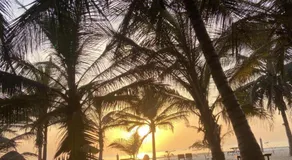 Jungle Beach Resort - Image 4
