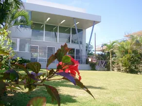 The Green Terrace - Image 4