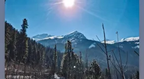 The Himalayan Cafe Thc - Image 4