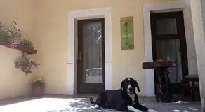 Apartman Centar - Image 4