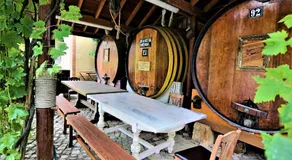 Villa Ana Margarida by Nature - Image 4