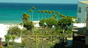 Los Hibiscos 406 - Image 5