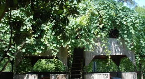Olympos Camlık Pension - Image 5