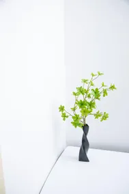1Br naer Wanda plaza - Image 3