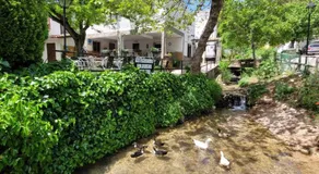 Pensión Pradera - Image 3