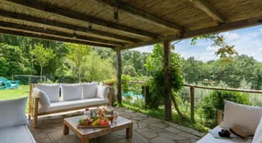 Villavetrichina - Image 3