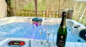 THREE BEDROOM Rural, relaxing and peaceful,DOGS welcome! With Cymru Holidays - Image 3