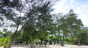 Baan Kratom Tong by the sea - Image 2