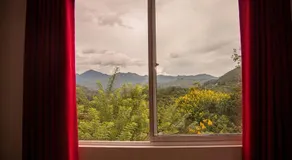 Scenic View - Ella - Image 4