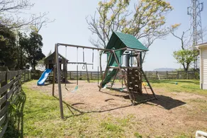 Tea Trees - Image 5
