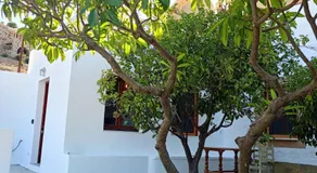 Limonletto - Image 4