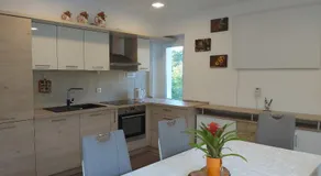 Divača, Vila Srebrna - Image 4