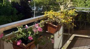 La casa nel parco - Image 4