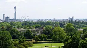The Studio - Heart Of Primrose Hill - Image 4