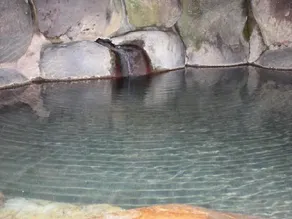 Ryokan Tanaka - Image 5