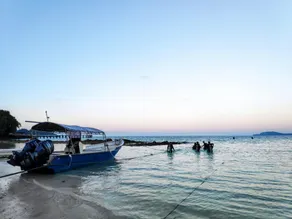 Lumba Lumba Diving Centre & Beach Resort - Image 4