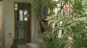 Jungle Room - Image 5
