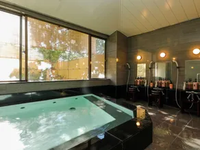 Arima Hot Spring Ryokan Kotori - Image 3