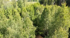 Natur pur im Tipi -Dein Rückzugsort in Schwedens Wildnis - Image 3