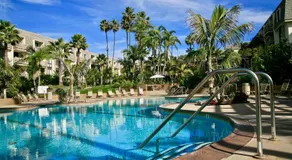 G218 - Palms Away - Image 2