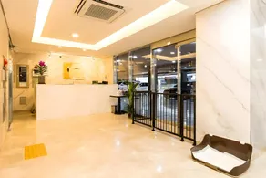 The Petel Premium Suite - Image 5