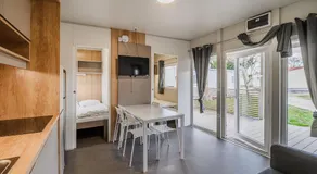 AlpeAdriaBooker Mobile Homes With Terme Čatež Tickets - Image 2