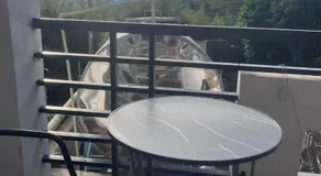 Cornell's Foggy Mountain Inn - Image 3