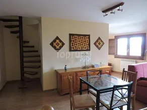 Calao de Cuatro Copas - Image 3