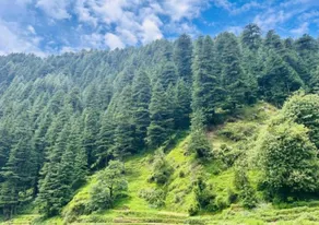 Barot Palace - Image 4